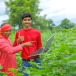 Why Crop Insurance Is Essential For Modern Agriculture?