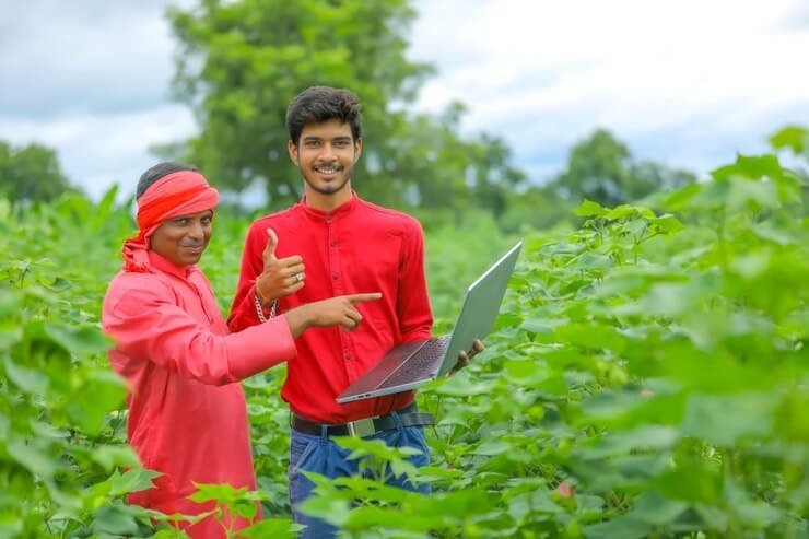 Why Crop Insurance Is Essential For Modern Agriculture?