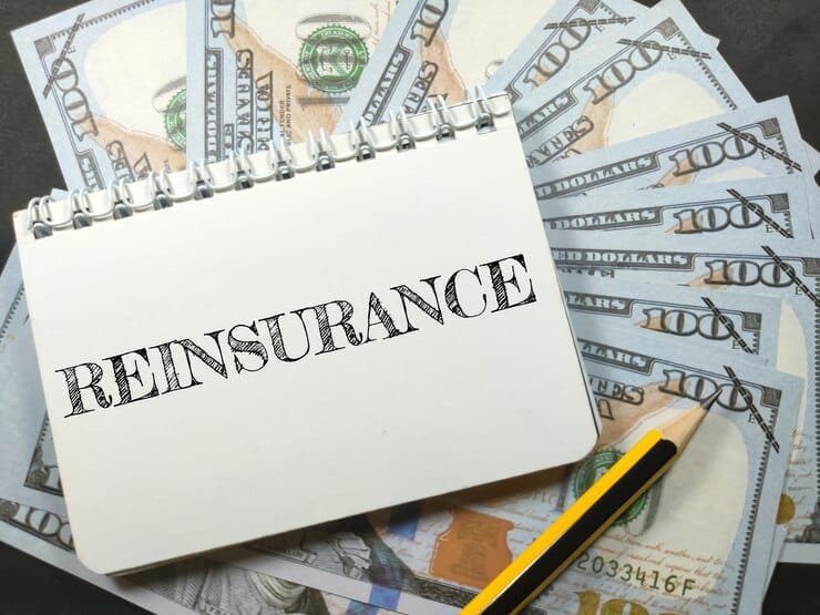 How Reinsurance Can Protect Your Business From Large Losses?